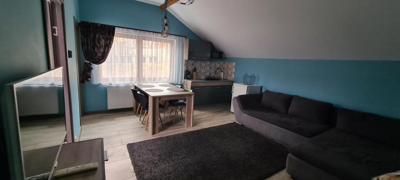 Comfort Home Apartment 3 Petroşani Exteriör bild